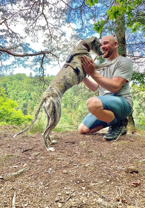 Wandern mit Hund auf dem Albsteig im Schwarzwald